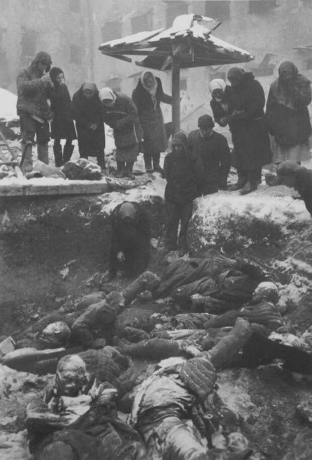 Трагедия Змиевки: десятки тысяч советских людей были уничтожены на окраине Ростова Трагедия Змиевки: десятки тысяч советских людей были уничтожены на окраине Ростова