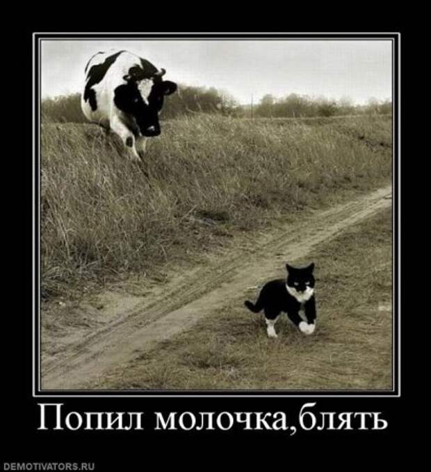Демотиваторы, много новых и только прикольных.