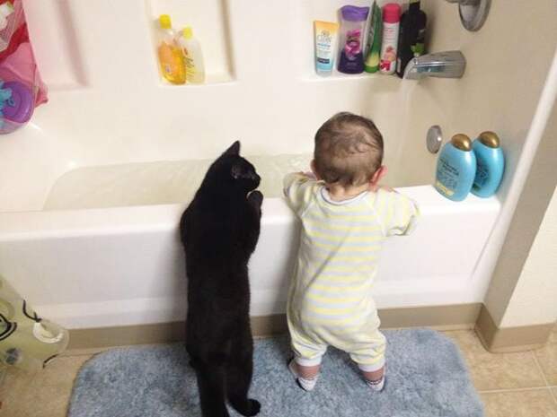 ребенок и кошка