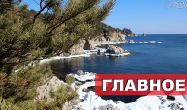 Картина дня в Приморье: тигр-толстяк, ограбление аптеки и местные миллиардеры