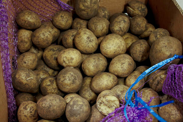 В европейском городе наступил «картофельный потоп»