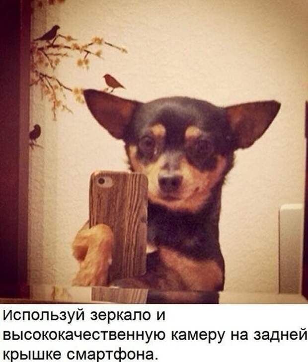 Уроки выполнения себяшек селфи, урок