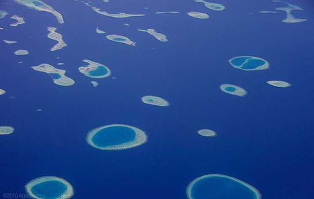 Мальдивские острова (1)