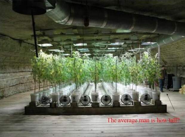 Дом с золотым запасом (13 фото)