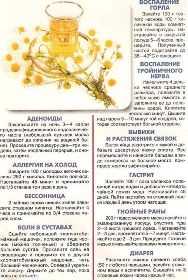 Забытые рецепты рецепт забытый, факты