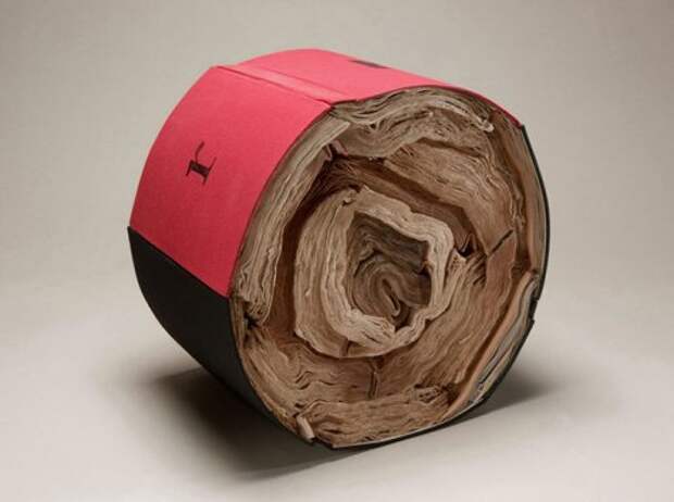 Скульптуры из старых книг Жаклин Раш Ли (19 фото)