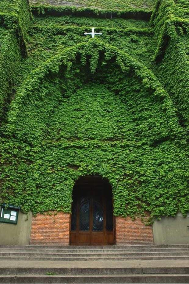 зелёная церковь