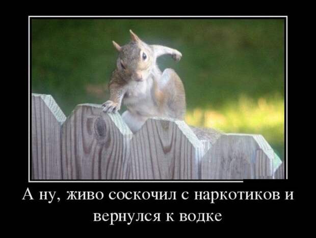 Картинки с подписями