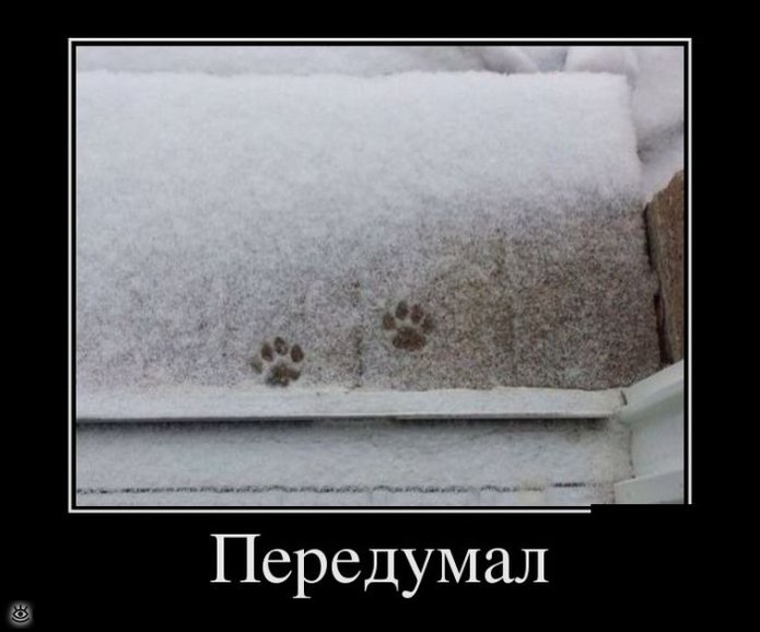 Оставь заботы всяк сюда входящий! 23