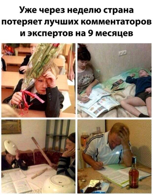 Подборка картинок (20 фото)