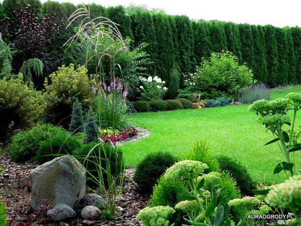 P1250057 (700x525, 221Kb)