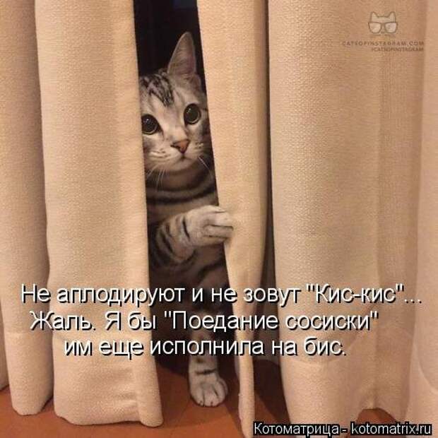 Котоматрица на Бугаге (30 фото)