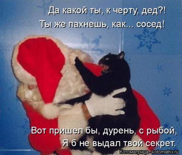 Кошкоматрицы.