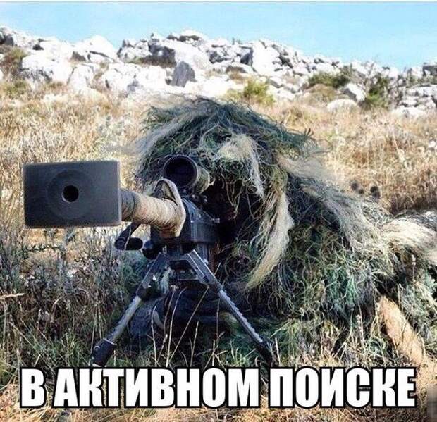 Смешные картинки с надписями видео, прикол