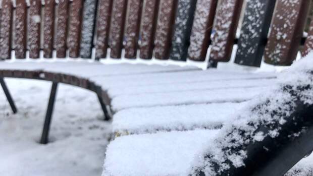 Синоптик Леус предупредил петербуржцев о мокром снеге и гололедице 25 января