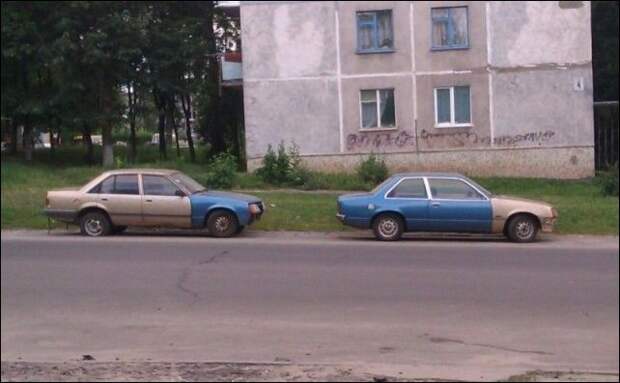 Дело случая (20 фото)