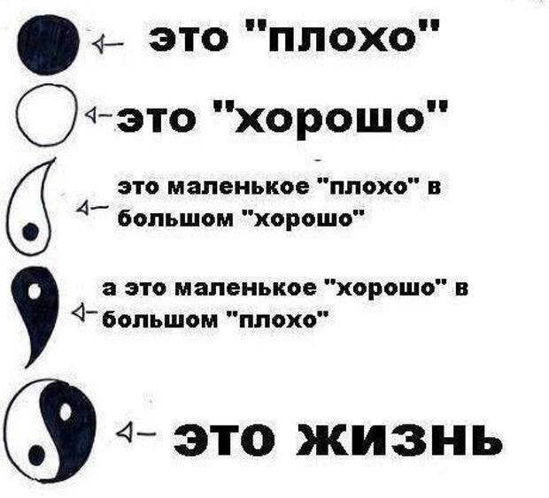 Картинки, юмор, приколы