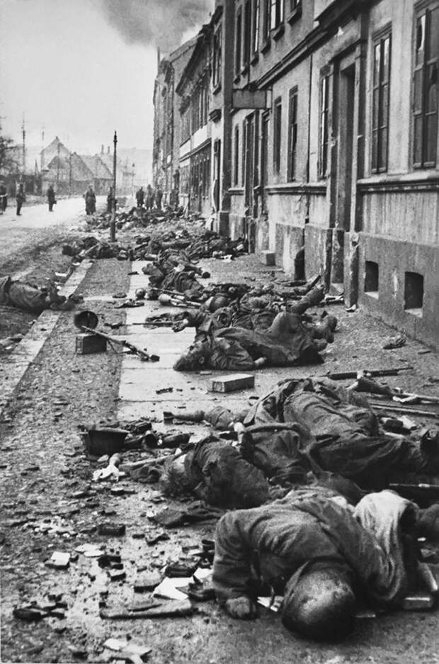 53. Тела убитых немецких солдат в Бреслау, 1945 год ВОВ 1941-1945, вмв, война