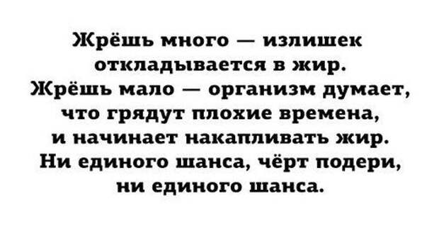 Блестящие цитаты