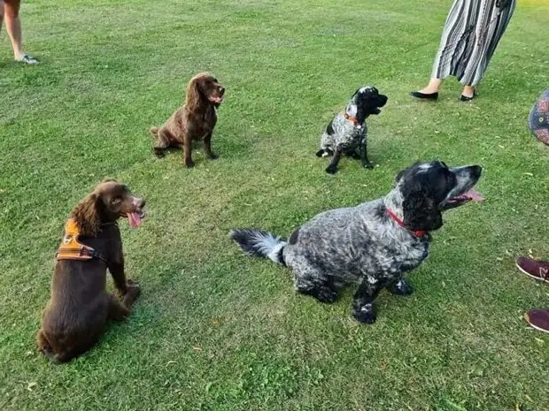 ���� � ������� ��� �������� ���������� � ���� ��������