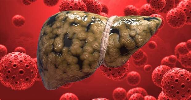 7-Foods-That-Take-Delicate-Care-Of-Your-Liver