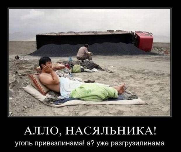Демотиваторы с приколами, развеселят кого угодно.