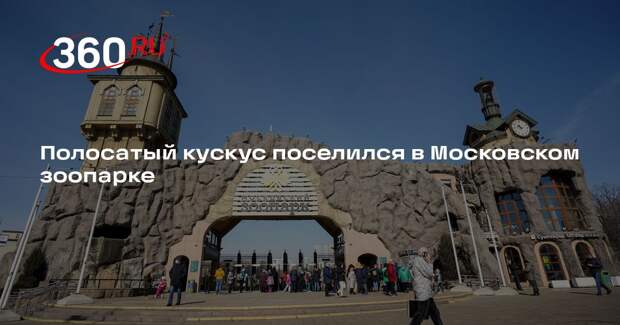 Полосатый кускус поселился в Московском зоопарке