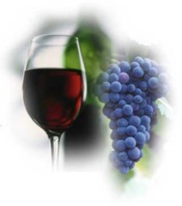 http://www.cigarpro.ru/netcat_files/Image/alcohol-wine.jpg