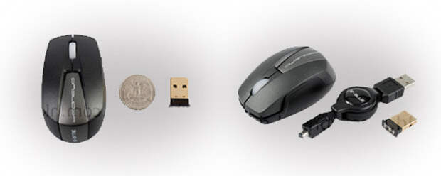 Mini_mouse