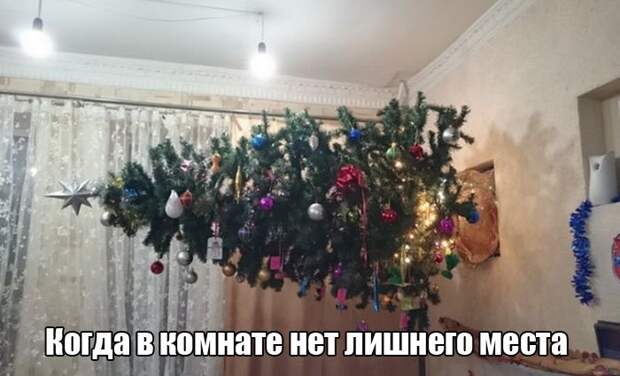 Праздник удался! Поделитесь темой с друзьями!
