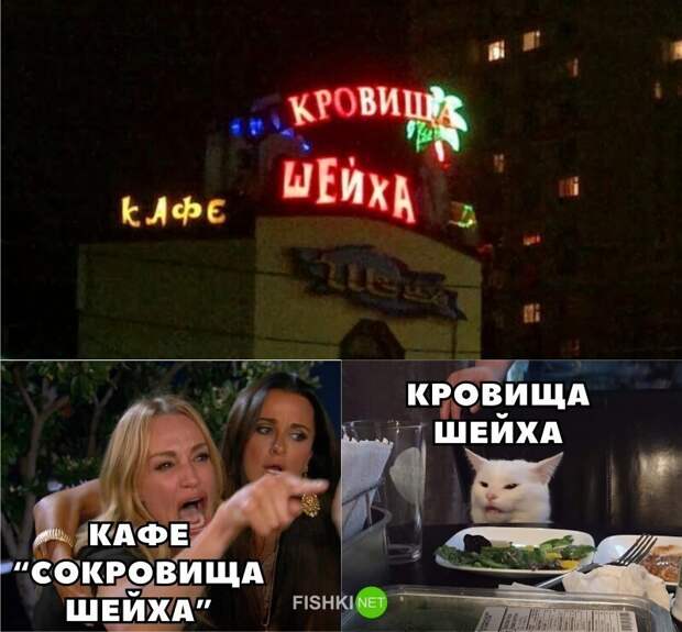 И снова всё опровергающий котик И снова всё опровергающий котик