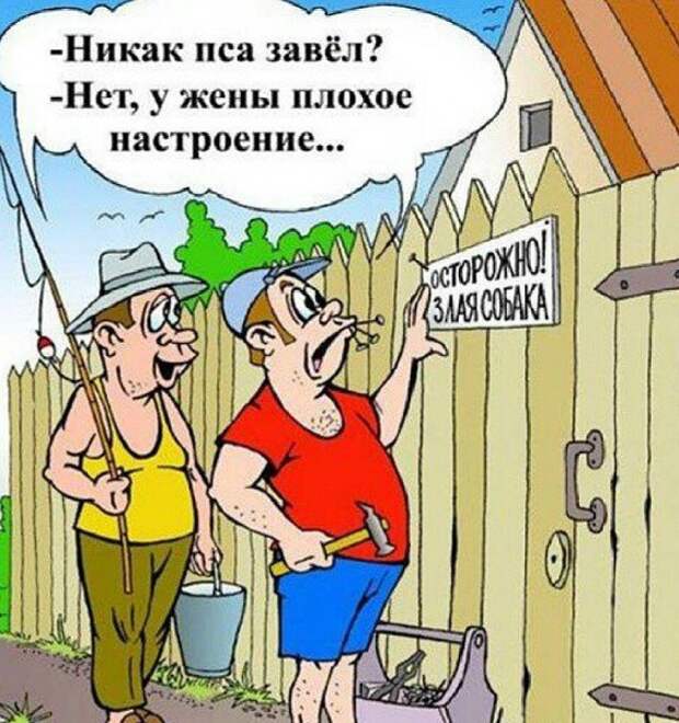 Бывает и такое Бывает и такое животные, прикол