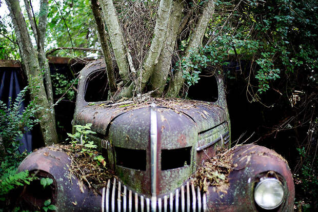 Old Car City – самое большое кладбище классических автомобилей в мире авто, автомобили, фото