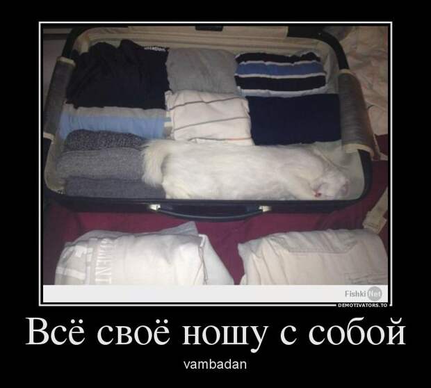 Демотиваторы демотиваторы, прикол, смех, юмор