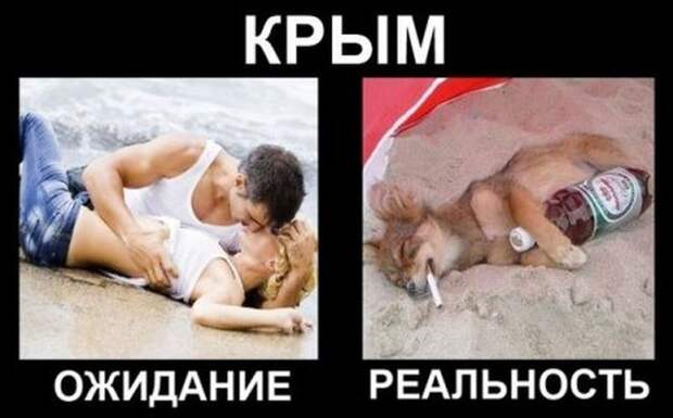 Ожидание и реальность ожидание, реальность, фото, юмор
