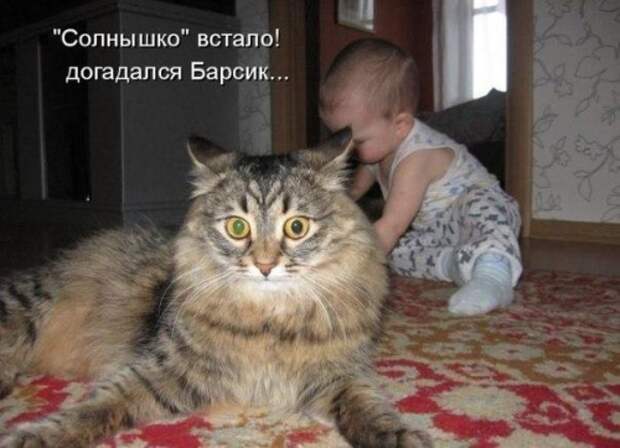 Солнышко встало