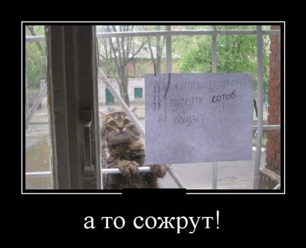 Демотиваторы (30 фото)