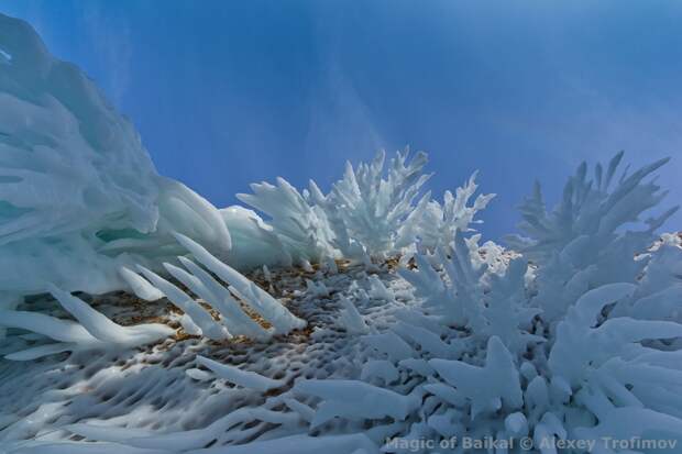 The Magic Of Lake Baikal. Virtual photo exhibition 11