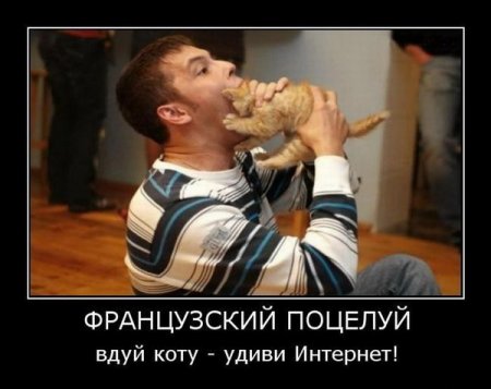 Димотиваторы прикол