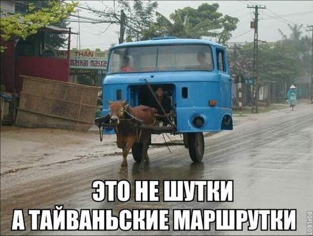 Автомобилисты снова отжигают!