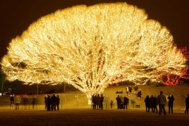 Дерево «1000 огней» в городе Дрейпер, США