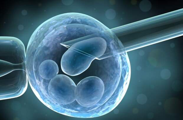 Все что нужно знать о лечении рака стволовыми клетками