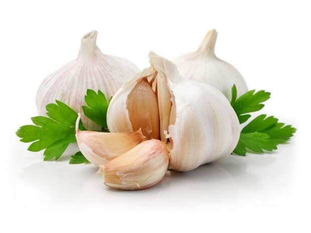 garlic health 6