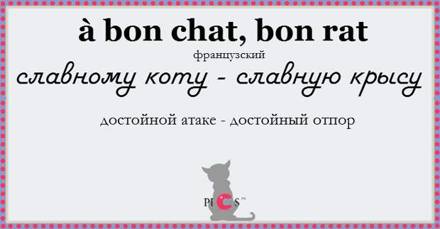 catidiom16