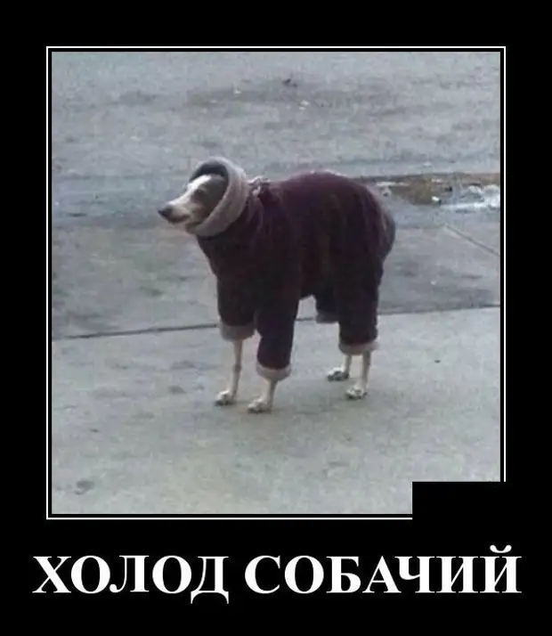 Коротко о погоде картинки смешные