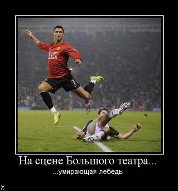 Фото демотиваторы.