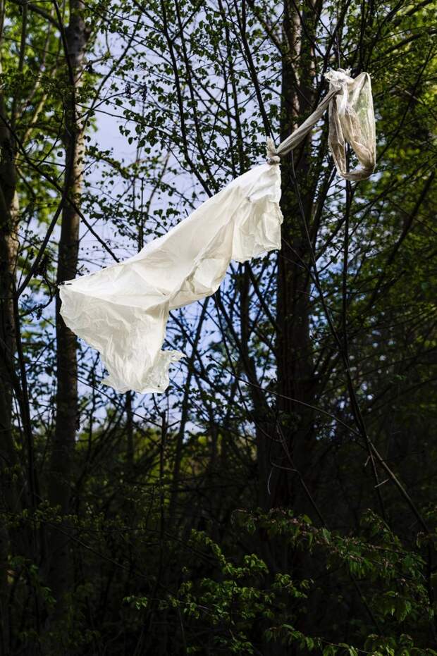 Фотопрект: места работы проституток в парижских лесах