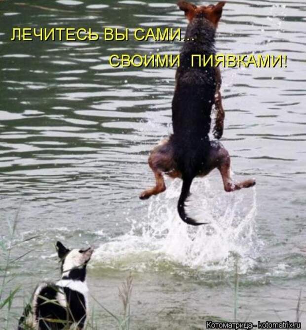 Позитивные зверушки. Весёленькие фото Позитивные зверушки. Весёленькие фото