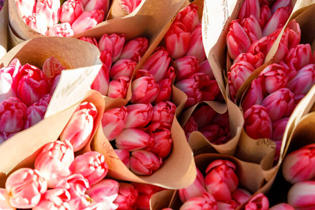 В центре Тулы пройдёт праздничная программа к 8 Марта