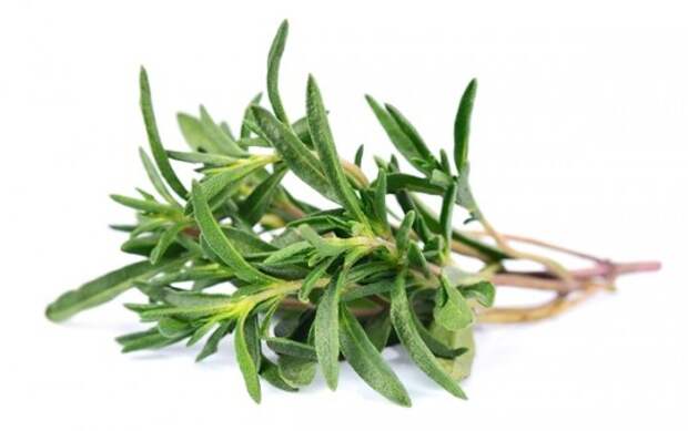 thyme.full